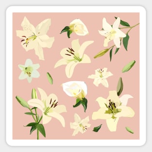 White Pink Lily Flowers Sticker